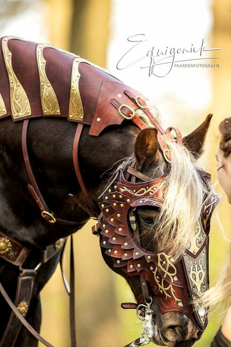 Medieval Horse, Horse Costumes, Horse Armor, Fantasy Horses, Horse Bridle, Horse Gear, Horse Face, All The Pretty Horses, Horse Designs