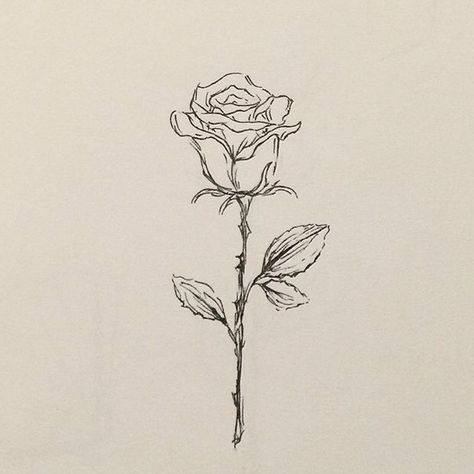 Small Tattoos Rose Simple, Rose Tree Tattoo, Roses Drawing Simple, Rose Sketch Simple, Rose Drawing Sketch, Simple Rose Drawing, Rose Drawing Simple, Simple Rose Tattoo, Rose Sketch