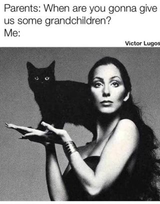 Black Cat Appreciation Day, National Cat Day, Funny Cat Memes, Crazy Cat Lady, Cat Life, Crazy Cats, Cat Lady, Cat Love, Cat Memes