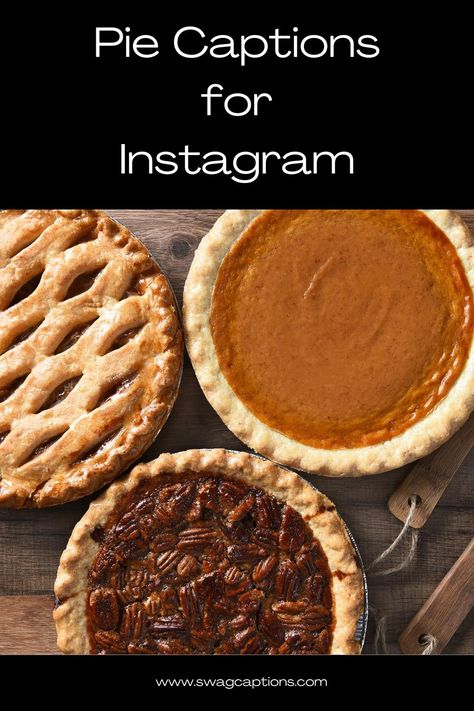 Looking for mouthwatering pie captions to enhance your Instagram feed? Look no further! I've got you covered with a collection of captivating captions that perfectly complement your pie pictures. From classic apple pies to decadent chocolate creations, these captions will leave your followers craving a slice of your delicious desserts. #PiePerfection #SweetSlices #DeliciousDesserts #PieLove #CravingPie #BakingDelights #PieHeaven #SliceOfJoy #PieTime #YummyTreats #InstaPie #PiePassion Apple Pie Quotes, Pie Bar Ideas, Pie Sayings, Dessert Captions, Bread Pictures, Pie Puns, Pie Quotes, Apple Pie Tarts, Pie Pictures