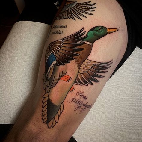 Mallard Duck Tattoo, Stay Humble Tattoo, Humble Tattoo, Robin Tattoo, Navy Tattoos, Duck Tattoos, Traditional Tattoo Designs, Traditional Tattoo Design, Dad Tattoos