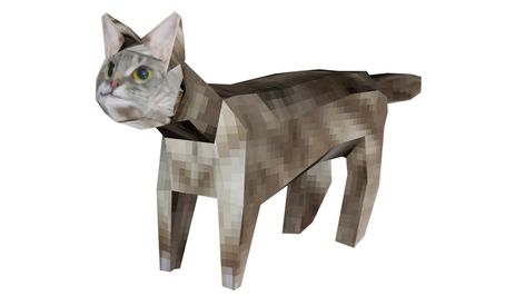 Low Poly Animals, Poly Animals, Rattus Rattus, Funny Cat Meme, Low Poly Games, Shirt Sticker, Low Poly Art, Low Poly Models, Cat Meme