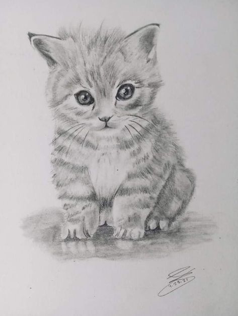 baby kitten sketch #photo credit to the right owner Drawing Cat Face, Cat Drawing Wallpaper, Kitten Sketch, Cat Hand Drawing, Kitty Sketch, Cat Face Drawing, Sketch Photo, Kitten Drawing, Pencil Drawings Of Animals