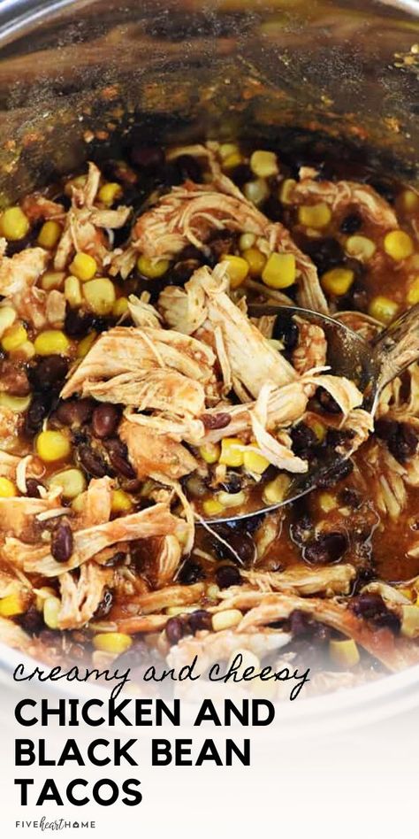 Instant Pot Salsa Chicken, Instant Pot Salsa, Chicken Black Bean, Dash Recipe, Black Bean Tacos, Black Bean Recipes, Bean Tacos, Salsa Chicken, Instant Pot Recipes Chicken