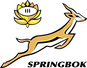 Springbok Jersey, Springboks Rugby South Africa, Rugby Party, South African Rugby, Rugby Logo, Springbok Rugby, Rugby Sevens, Africa Do Sul, Rugby Team