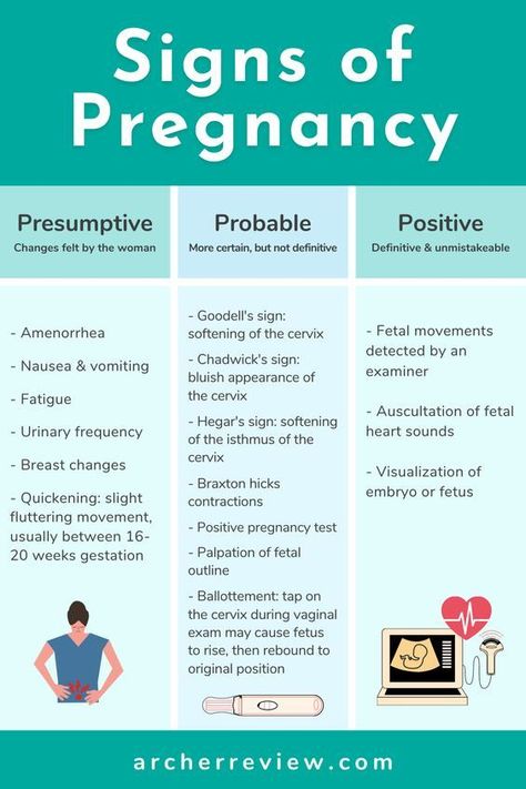 Signs of Pregnancy #medschool #doctor #medicalstudent - Image Credits: Archer Review | NCLEX Prep Ob Nursing Student, Archer Review, Maternal Nursing, Nclex Notes, Med Notes, Nclex Tips, Nursing Instructor, Nursing Essentials, Nclex Study Guide