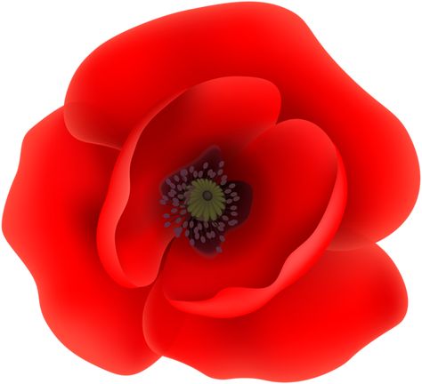 Poppy Clipart, Poppy Flower Bouquet, Poppy Flower Drawing, Poppy Images, Banner Clip Art, Flower Clip Art, Patriotic Images, Remembrance Poppy, Wedding Plants