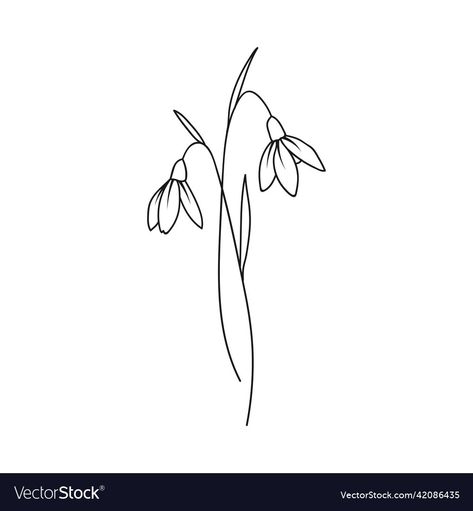 January Flower Drawing, January Birth Month Tattoo, Snow Drops Drawing, Snow Drop Flower Tattoos, Snowdrop Flower Tattoo Designs, Snow Drop Tattoo Design, Snow Drop Flower Drawing, Snow Drop Illustration, Snow Drop Tattoos