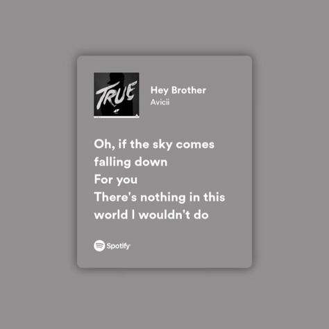 Hey Brother Lyrics, Avicii Lyrics, Avicii Hey Brother, Hey Brother, Will Byers, Avicii, Steve Harrington, Hogwarts School, Just Lyrics