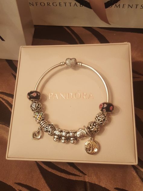 Pandora♥️Family♥️ Pandora Family, Pandora Charms, Pandora Charm Bracelet, Charm Bracelet, Design