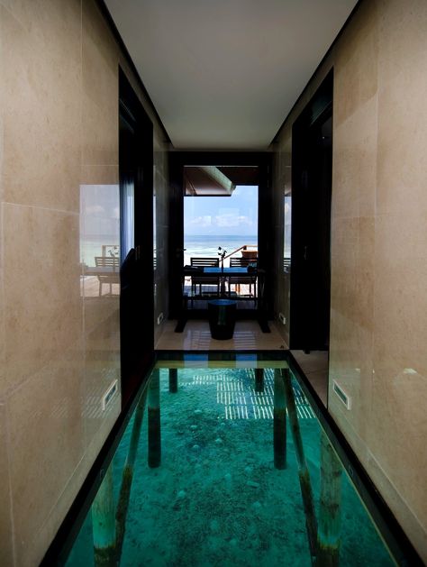 Glass Bottom Villa. Delux Water Villa, Lily Beach Resort & Spa in The Maldives. http://www.lilybeachmaldives.com/deluxewatervillaVR.html Quarantine Aesthetic, Water Villa, Photos Aesthetic, Water House, Blogger Lifestyle, Fotos Aesthetic, Stunning Interior Design, Indoor Swimming, Glass Floor