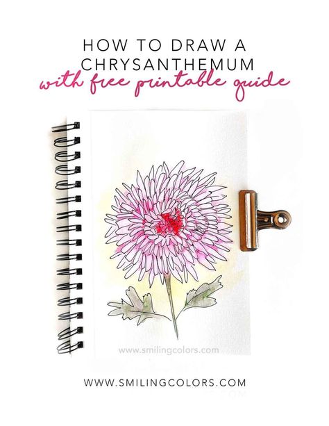 How to draw a chrysanthemum with a free printable guide - Smitha Katti Easy Chrysanthemum Drawing, Landscape Drawing Tutorial, Drawing Lettering, Painting Instructions, Paper Art Projects, Easy Drawing Ideas, Bullet Journal Pages, Acrylic Painting Diy, Mums Flowers