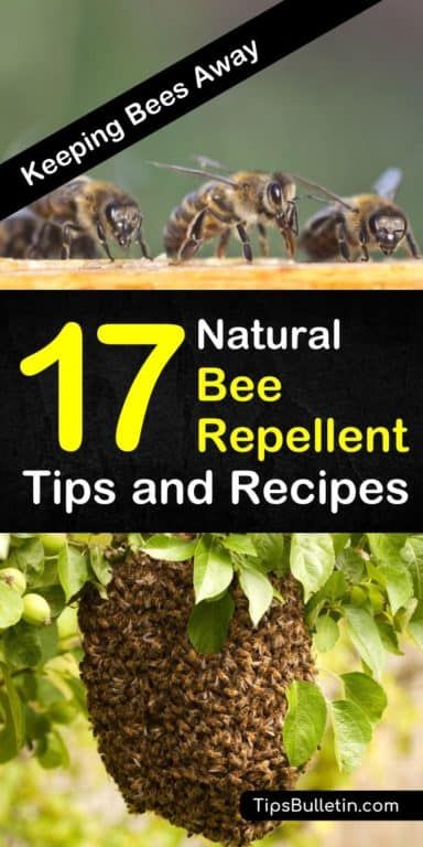 Learn how to get rid of bees from your house, yards, and outdoor entertainment areas with these natural bee repellent recipes. Whether you need relief while camping or you’re looking for a natural spray for your skin, these tips can help! #beerepellent #bees #pestcontrol Bee Deterrent, Natural Bee Repellent, Bee Spray, Bee Repellent, Getting Rid Of Bees, Ground Bees, Repellent Diy, Wasp Repellent, Get Rid Of Wasps