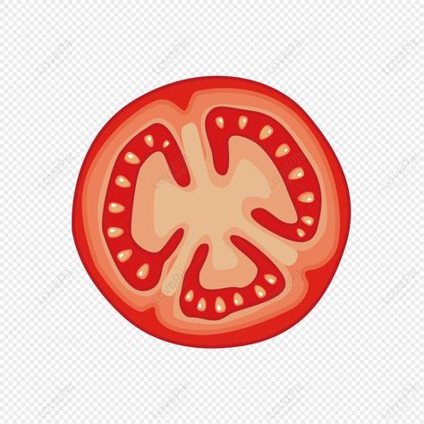 Tomato Slice Drawing, Tomato Png, Tomato Cartoon, Tomato Clipart, Cartoon Tomato, Tomato Vector, Tomato Illustration, Tomato Drawing, Tomato Art