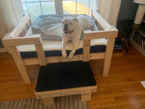 Dog Bed Loft, Diy Dog Loft Bed, Dog Loft Bed, Tall Dog Bed, Diy Raised Dog Bed, Diy Elevated Dog Bed, Raised Wooden Dog Bed, Dog Bunk Beds, Raised Dog Bed