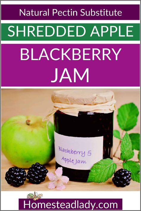 Pectin Substitute, Blackberry Jam Recipes, Diy Foods, Blackberry Recipes, Blackberry Jam, Pint Jars, Jams And Jellies, Jams & Jellies, Little Garden