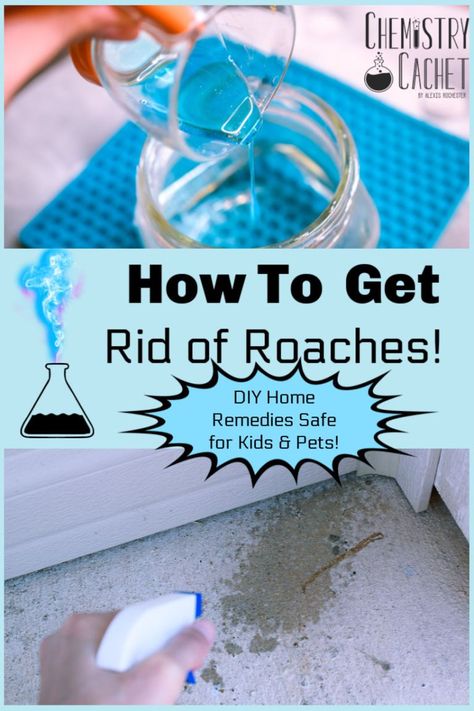 Kill Roaches Naturally, Home Remedies For Roaches, Cockroach Repellent, Repellent Diy, Diy Bug Repellent, Ant Spray, Kill Roaches, Diy Bug Spray, Bug Spray Recipe