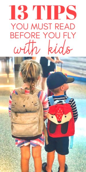 Flying With Toddlers, Travel Tips With Toddlers, Tips For Flying, Losing Your Mind, Family Travel Hacks, Flying With Kids, Kid Hacks, Plane Travel, Toddler Travel