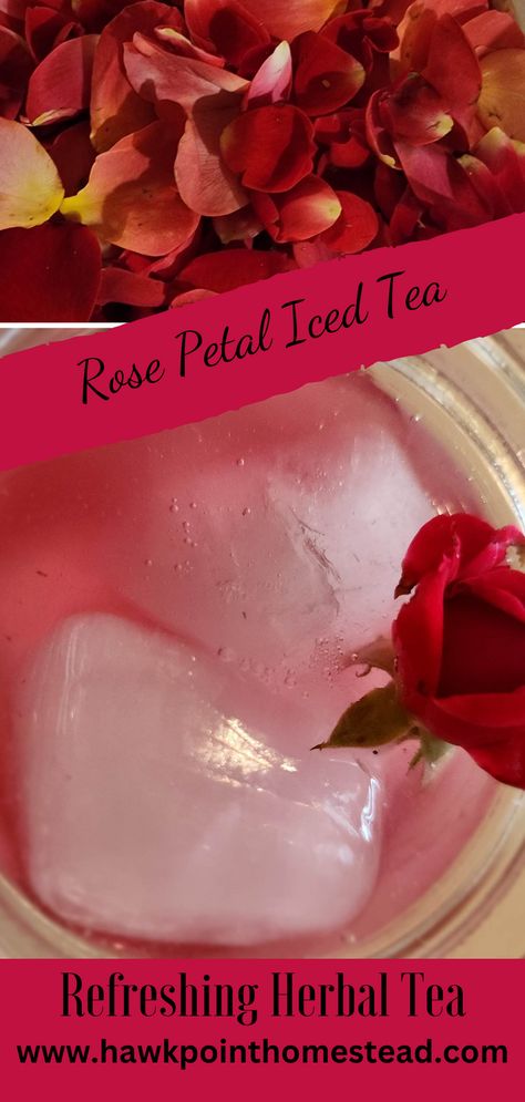 Foraging is so fun and beneficial. It is a wonder just how many weeds, flowers and herbs offer so many benefits. This recipe for simple rose petal tea is a great example. It is fun to be able to use edible flowers like roses to make something beautiful and delicious, like this wonderful rose petal tea! rose petals contain Vitamin C, A and E, plus iron and calcium and that rose petals are high in phytonutrients, plant compounds with antioxidant properties. Apple Blossom Recipe, Rose Petal Tea, Homestead Lifestyle, Fresh Rose Petals, Salve Recipes, Dandelion Jelly, How To Make Rose, Mint Sprig, Types Of Roses