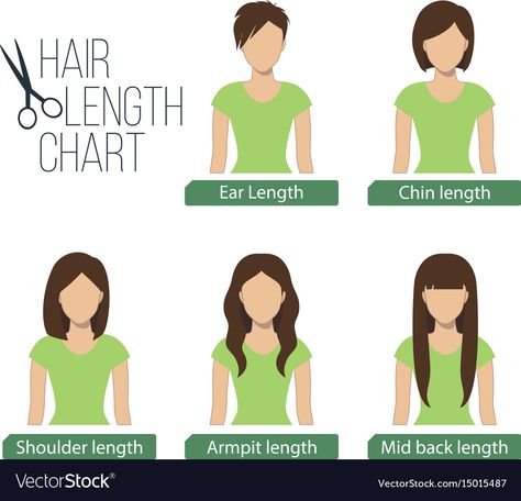 Length Of Hair Chart, Medium Hair Length, Hair Chart, Frizzy Hair Tips, Length Of Hair, Brunette Ombre, Arctic Fox Hair Color, Hair Length Chart, Hair Color Streaks