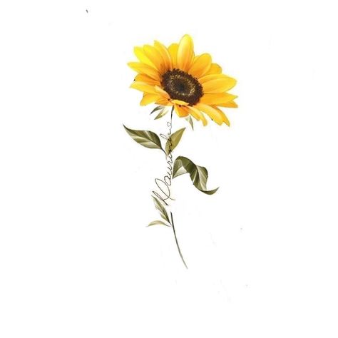 Girasoles Tattoo, Small Sunflower Tattoo, Geometric Tattoo Hand, Cute Halloween Tattoos, Family Tattoos For Men, Italian Tattoos, Sunflower Illustration, Simple Tattoos For Guys, Lady Bug Tattoo