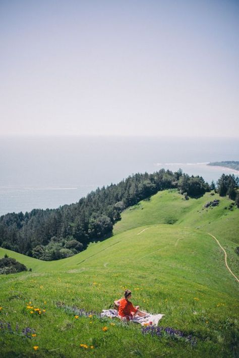 Picnic in Mount Tam Mount Tamalpais, Navy Romper, Gal Meets Glam, Parks N Rec, San Francisco Bay Area, Landscape Architect, Science And Nature, Adventure Awaits, Photography Photos