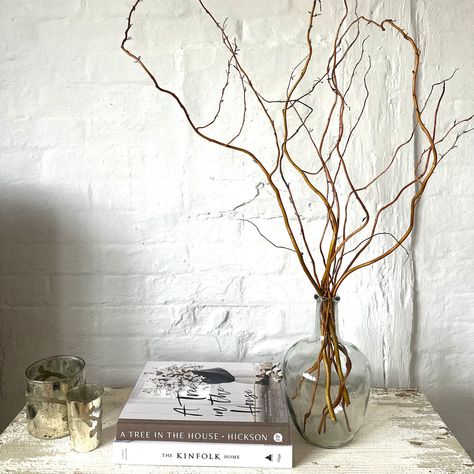 Twisted Willow Branches In Glass Vase With Twigs Dried Flowers Bottle Vase Small Clear Recycled Glass Vase Wedding Centrepiece Table Vase Large Branches In Vase, Vase With Twigs, Tree Branch Vase, Glass Vase Wedding Centerpieces, Vase With Branches, Wedding Centrepiece, Recycled Glass Vases, Indoor Tree, Event Centerpiece