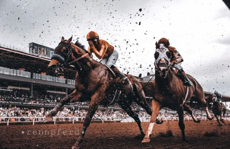 Horse Racing Photography, Horse Racing Aesthetic, Jockey Aesthetic, Action Drawing, Classic Life, Horse Art Drawing, Ky Derby, Horse Reference, Race Horse