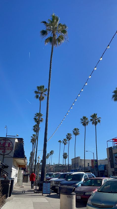 #oceanbeach #ob #sd #sandiego #palmtrees #california #beach Ocean Beach San Diego, Beach San Diego, Lifestyle Goals, California Beach, Ocean Beach, Summer 2024, Spring Break, Travel Dreams, Cali