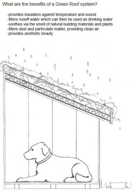 Diagram of Green Roof Dog House Eco Roof, Cat Habitat, Animal Homes, Green Roof House, Bunny Hutch, Innovation Architecture, Urban Gardens, Green Roofs, Pet Design