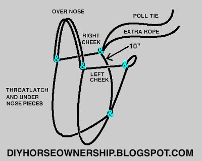 DIY: How to Make a Rope Halter Horse Bonnet, Rope Bridle, Horse Tack Diy, Horse Ownership, Diy Horse, Horse Care Tips, Horse Halters, Horse Halter, Horse Riding Tips