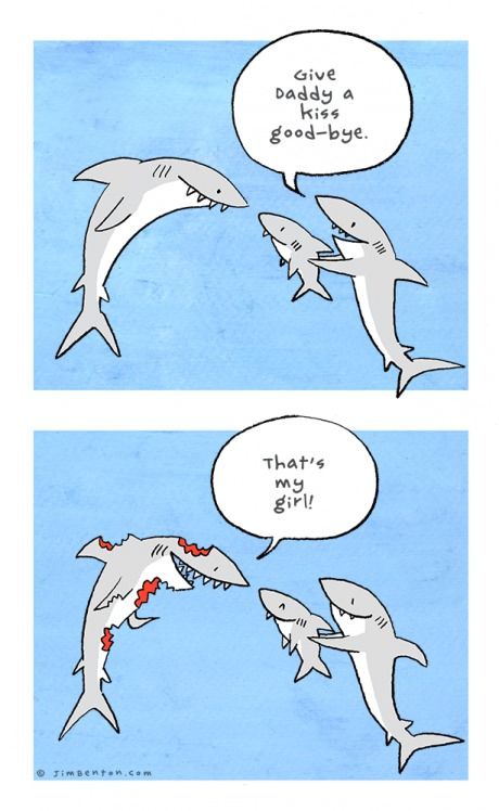 Give daddy a kiss good-bye Liz Climo Comics, The Awkward Yeti, Funny Animal Comics, Sharks Funny, Funny Doodles, Funny Animal Jokes, Cute Stories, 웃긴 사진, Animal Jokes