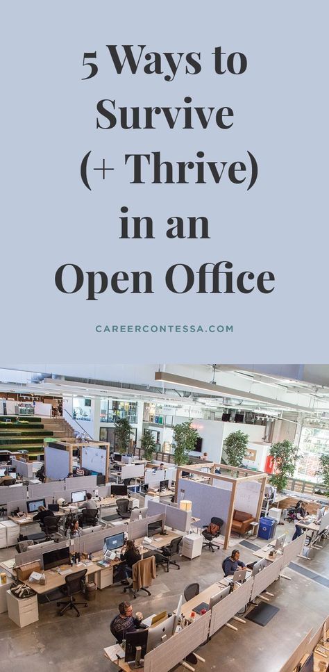 Open office spaces are not all rainbows and sunshine. Various think pieces across the internet argue that the laid-back setting can contribute to a lack of space and difficulty with concentrating among employees. In the meantime, you’re stuck in an open office. We’re sharing our best tips for surviving and thriving in an open office plan. After all, we do it every day. | Career Contessa Open Office Plan, Occupational Wellness, Return To Office, Office Rules, Career Contessa, Find A New Job, Glam Office, Business Etiquette, Cool Apps