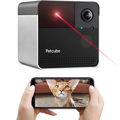 Cat Camera, Pet Cam, Alexa Skills, Pet Camera, Treat Dispenser, Dog Room, Modern Pet, Audio Sound, Security Cameras For Home