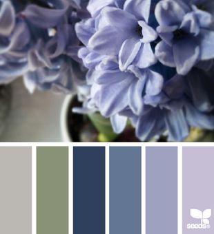 Hyacinth hues Color Schemes Design, Seeds Color, Design Seeds, Color My World, Teds Woodworking, Colour Inspiration, Green Life, Paint Schemes, Color Stories