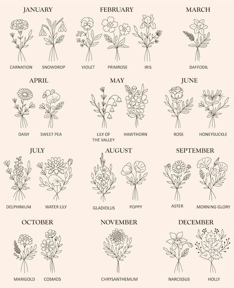 September Month Flower, Flowers For Birth Month, Birth Plants, September Tattoo Ideas Birth Month, Birth Month Flower Tattoos Bouquet, Birth Flower Line Art, Floral Illustrations Botanical, Birth Month Symbols, Birthmonth Flower