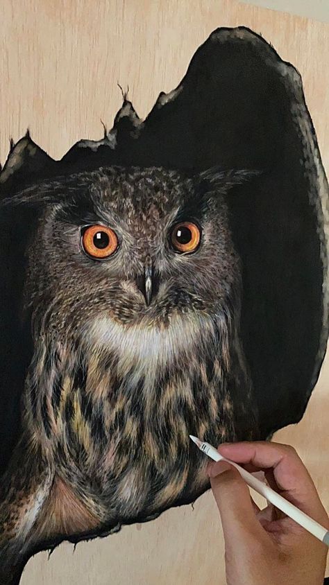 Owl Paintings On Canvas Easy, Owl Canvas Painting, Owl Painting Acrylic, Painted Driftwood, Owl Artwork, Acrylic Art Projects, Owl Canvas, Easy Canvas Painting, Feather Painting