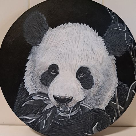 #Art #painting  #acrylicpaint #acrylicpainting #panda #pandabears #pandapainting #blackandgrey #blackandwhite  #portrait  #realismpainting Canvas Board Painting, Circle Canvas, Canvas Board, Art Drawings Sketches Simple, White Acrylics, Diy Canvas, Diy Canvas Art, Art Drawings Sketches, Paint Designs