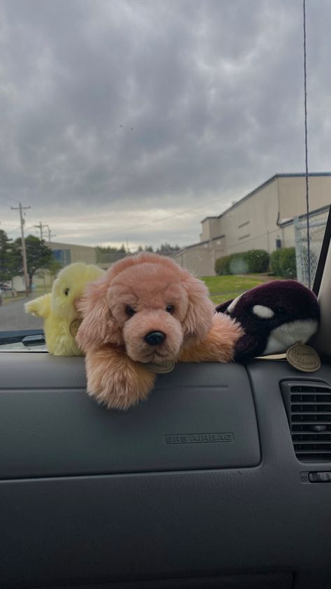 Stuffed Animals In Car, Car Stuffed Animals, Car Dashboard Decor, Needs Vs Wants, Manifesting Board, Dashboard Decor, Girly Car Accessories, Routine Tips, Cars Tees