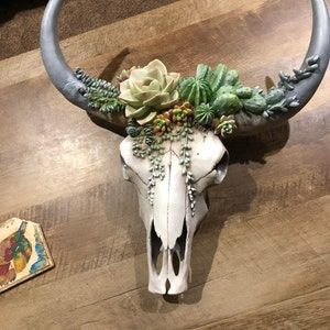 Animal Skull Decor, Cow Skull Decor, Boho Style Room, Skull Wall Decor, Aesthetic Interior Design, Drawing Room Decor, Longhorn Cow, Animal Skull, Cow Horns