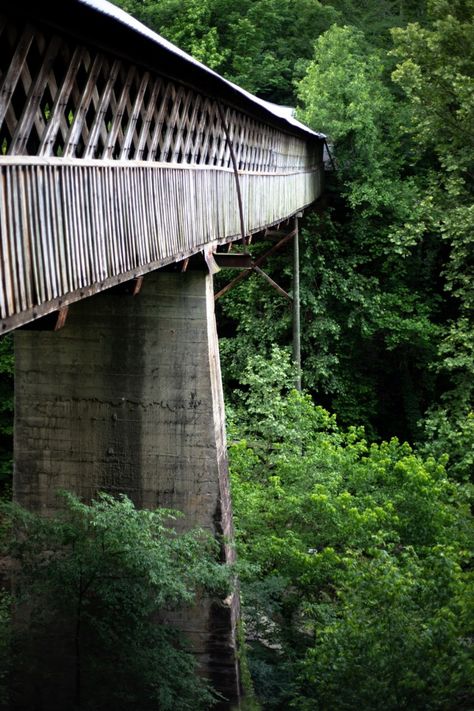 Blount County Covered Bridges: Adventures with Adamson Episode 2 | Bham Now Blount County, Alabama Vacation, North Alabama, Road Trip Map, Sweet Home Alabama, Covered Bridges, River Rock, Step Back, Back In Time