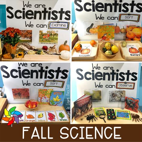 Preschool Apple Theme Circle Time and Activities Fall Science Centers Kindergarten, Preschool Fall Science Center, Science And Math Center Preschool, Fall Science Area Preschool, Fall Exploration Preschool, Science Learning Centers For Preschool, Centers Activities Preschool, September Learning Themes, Science Table Preschool