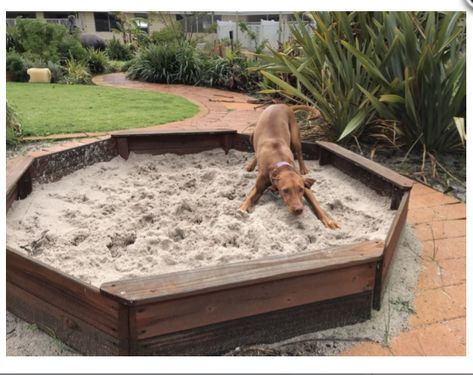 Sand pit in dog garden Dog Digging Pit Ideas, Dog Outdoor Enrichment, Sand Pit For Dogs, Dog Digging Area Sand Boxes, Dog Garden Area, Digging Pit For Dogs, Home Dog Park Ideas, Dig Pit For Dogs, Diy Dog Digging Pit