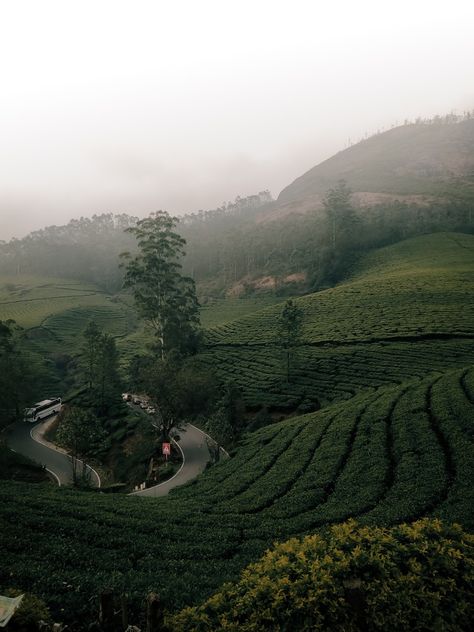 Munnar Hill Station, Munnar Photography Travel, Munnar Aesthetic, Wayanad Churam, Vattavada Munnar, Munnar Photography Kerala, Munnar Photography, Travel Guide Book Design, Kashmir Trip