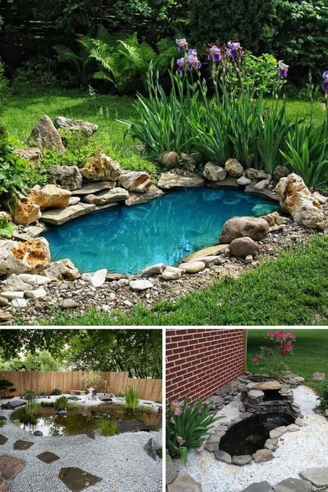 Nothing gives an instant face-lift to your garden or backyard like a gorgeous pond at its heart. The best DIY ponds are ones you can create with relative ease and do not cost you a fortune. 🙂 #diypondideas #diypond #backyardpond Garden Pond Ideas, Gazebo Diy, Plastic Pond, Backyard Pond Ideas, Backyard Ponds, Diy Gazebo, Building A Pond, Backyard Pond, Diy Pond