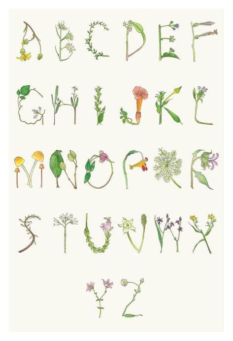 Cool Writing Styles, Summer Alphabet, Alphabet Watercolor, Nature Letters, Wedding Stationary Design, Decorative Typography, Watercolor Alphabet, Vine Font, Summer Font