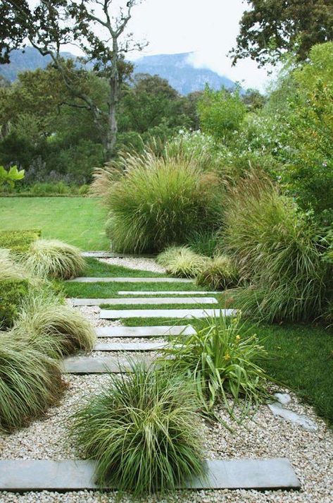 42 Stunning Plants For Walkways | Balcony Garden Web Perennial Grasses, Front Garden Design, Grasses Landscaping, Australian Garden, Coastal Gardens, Grasses Garden, Have Inspiration, The Secret Garden, Native Garden