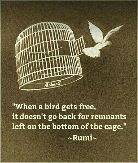 "When a bird gets free, it doesn't go back for remnants left on the bottom of the cage." Free Birds Quotes, Free Like A Bird Quotes, Bird In A Cage, Rumi Poem, Rumi Poetry, Rumi Love Quotes, Rumi Love, Bird Quotes, Sufi Quotes