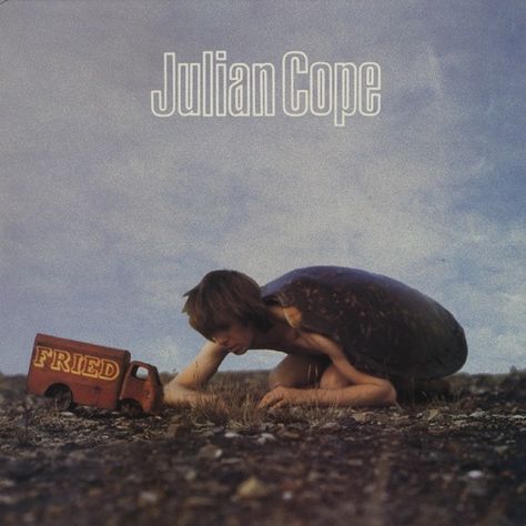 Julian Cope ‎– Fried Julian Cope, John Peel, Van Morrison, Peter Gabriel, Vinyl Music, Cd Album, Music Covers, Alternative Rock, Post Punk