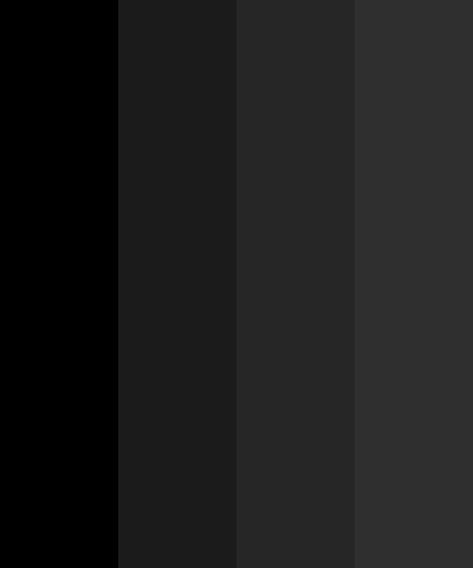 Dark Black Monochromatic Color Palette